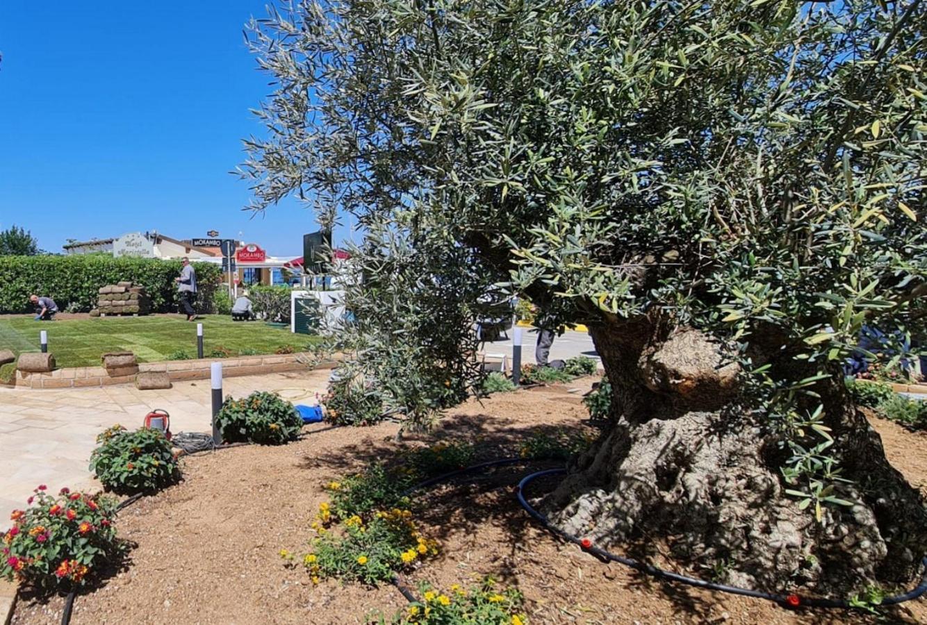 Hotel Levante - Isola D'Elba カーヴォ エクステリア 写真